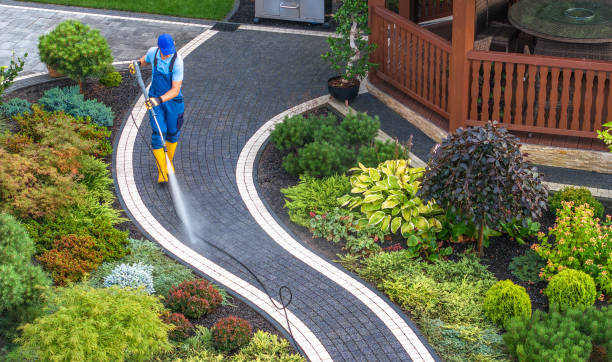 Best House Pressure Washing  in Denver, IA