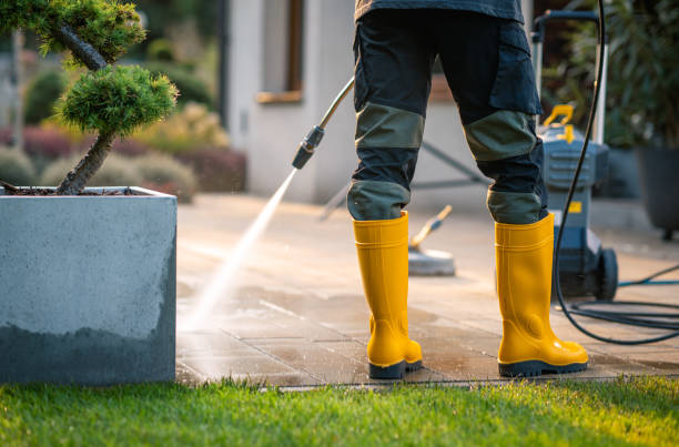 Best Residential Pressure Washing Services  in Denver, IA